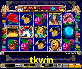 VIP Casino tkwin